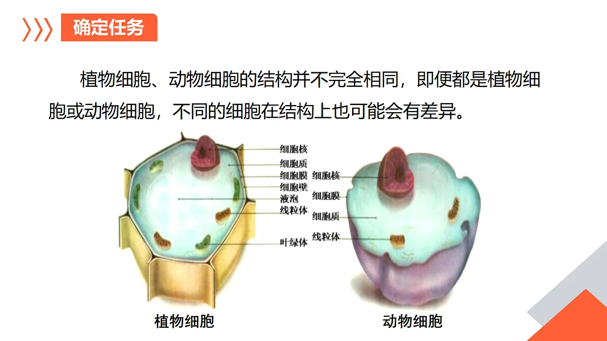 18246615第3页