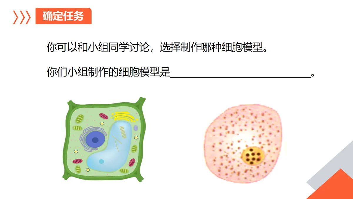 18246615第4页