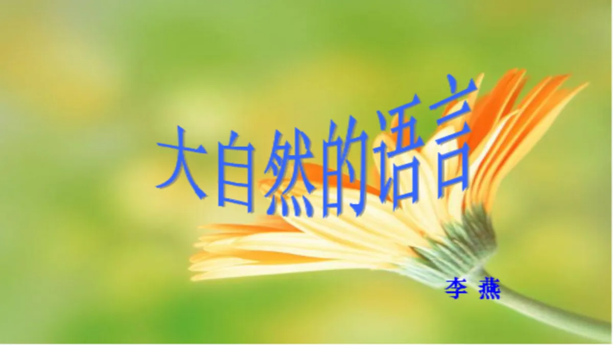 18246625第1页