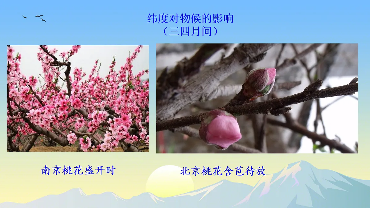 18246625第7页