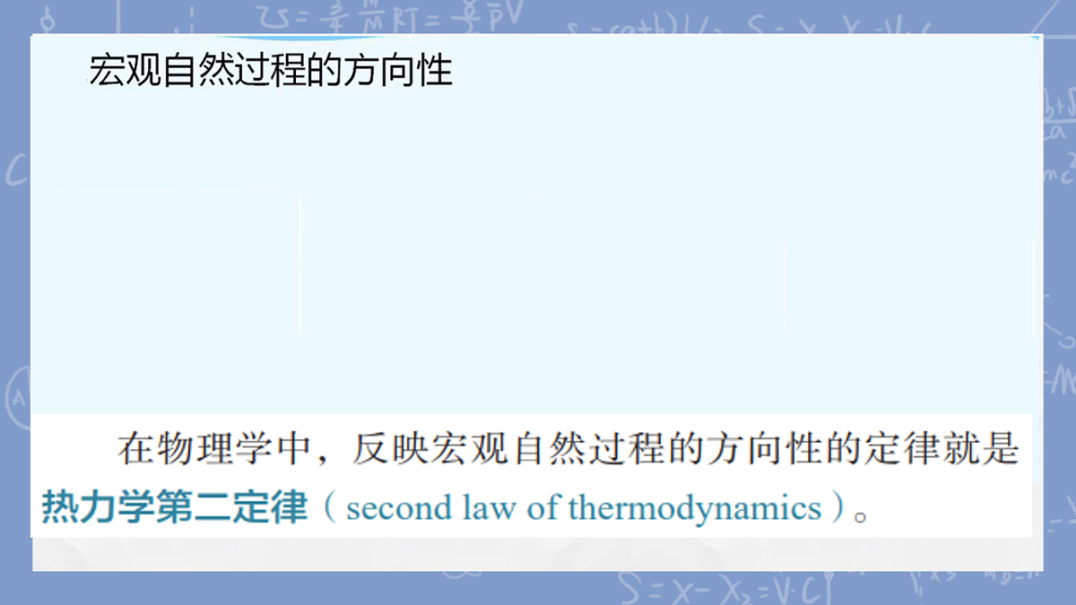 18247295第3页