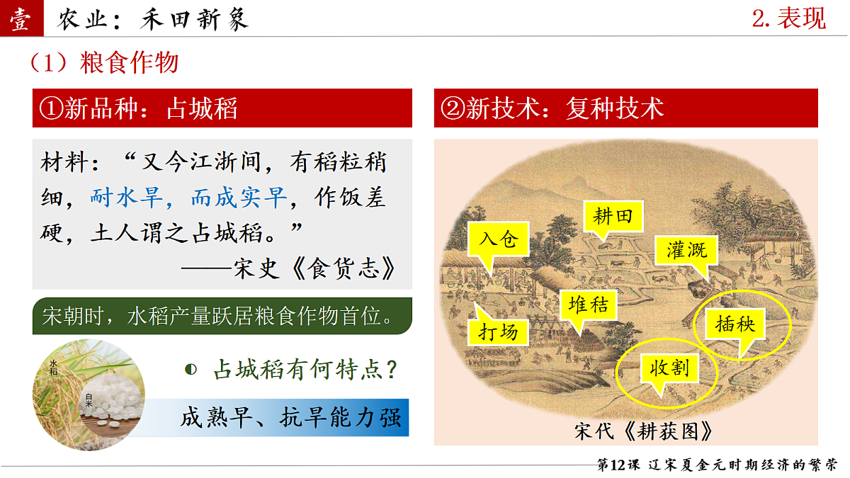 18247549第5页