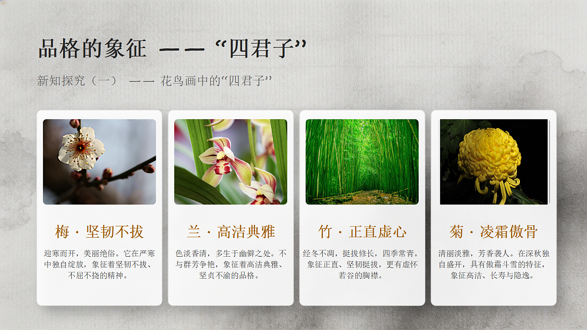 18247674第5页