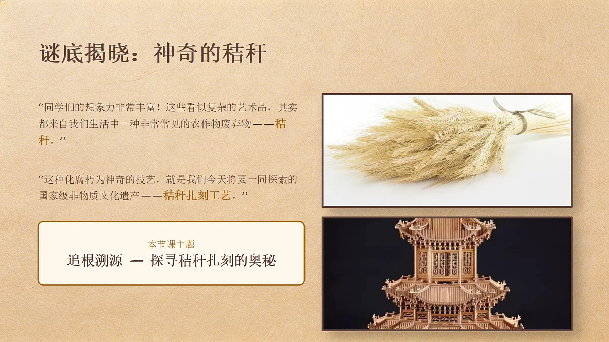 18247677第3页