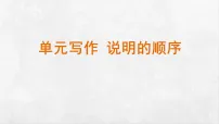 初中语文说明的顺序教学课件ppt