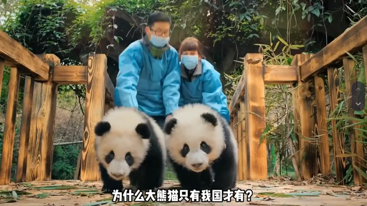 18249750第1页