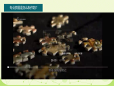 第16课 把自己的画制成拼图 课件（内嵌视频）2025-2026学年人美版美术四年级下册