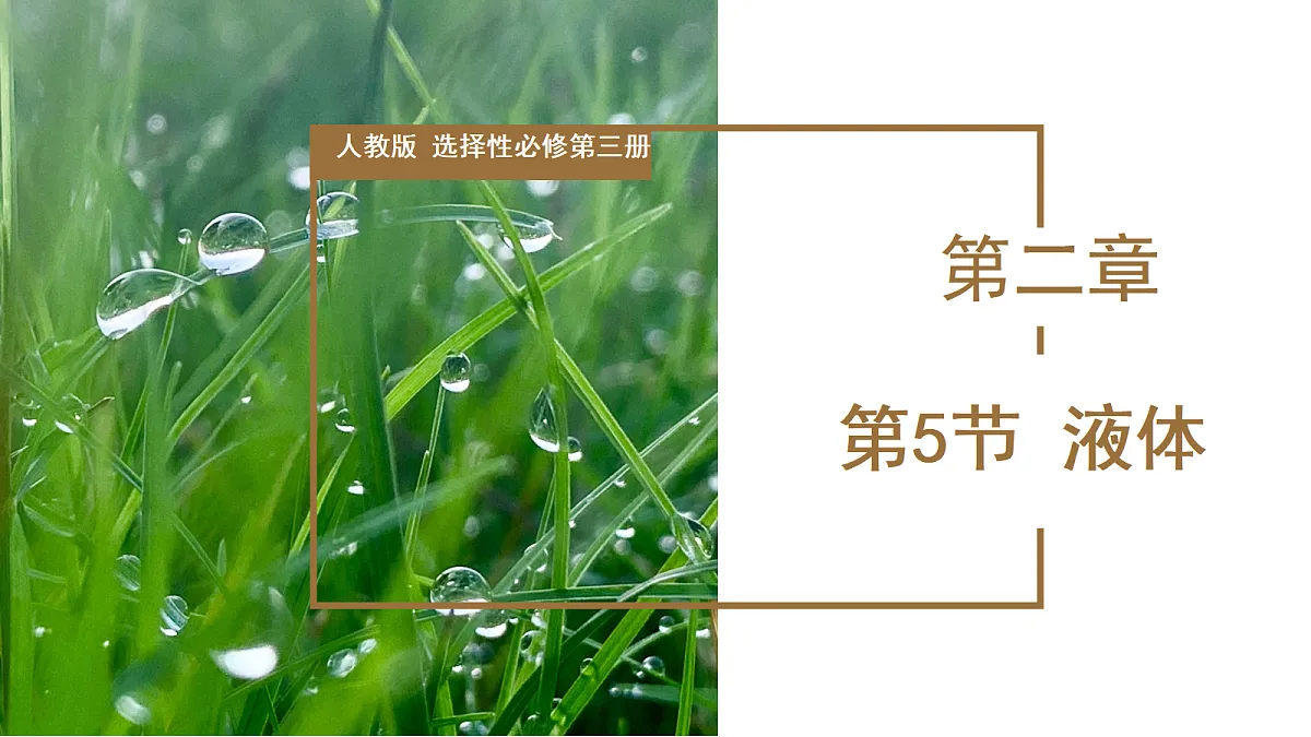 18251936第1页