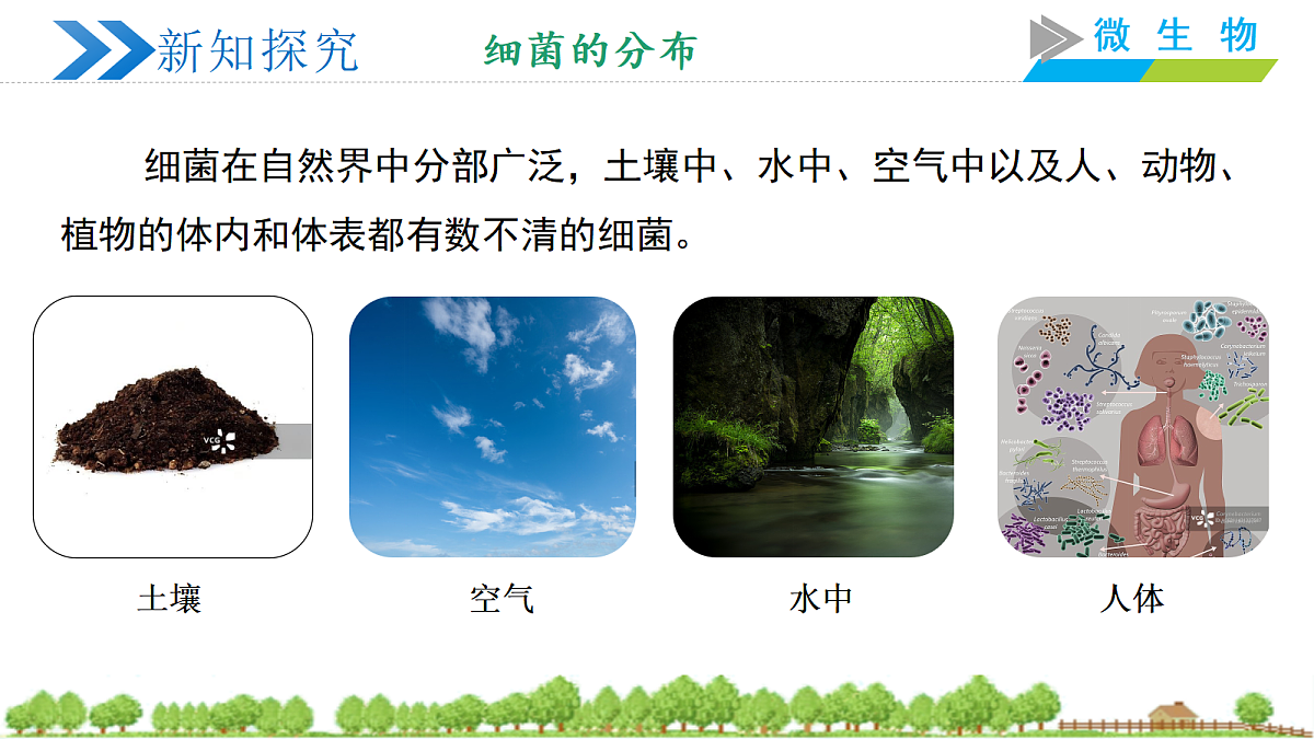 18252548第4页
