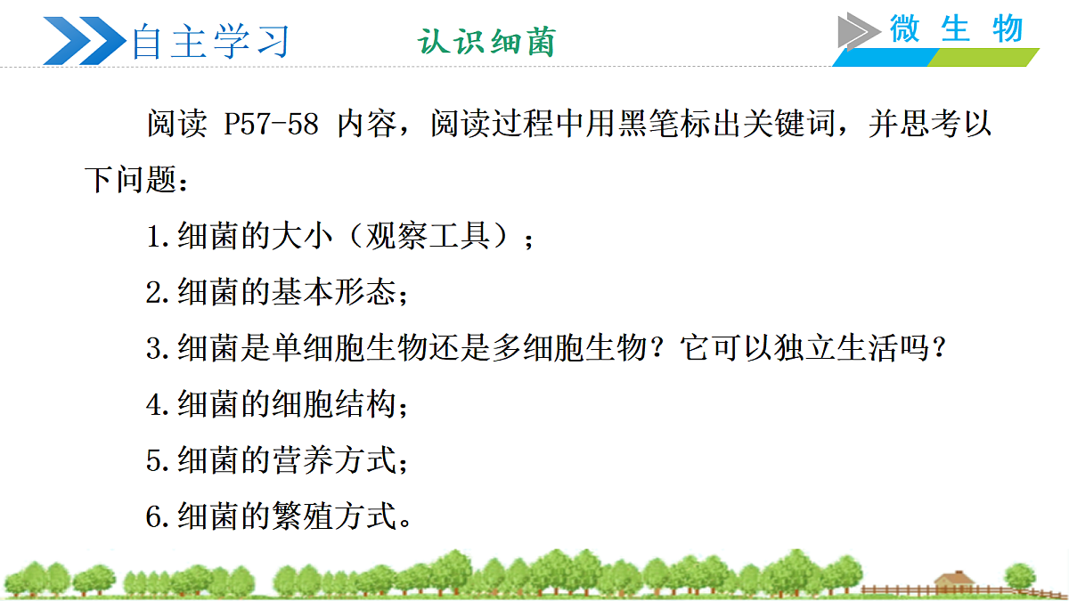 18252548第5页