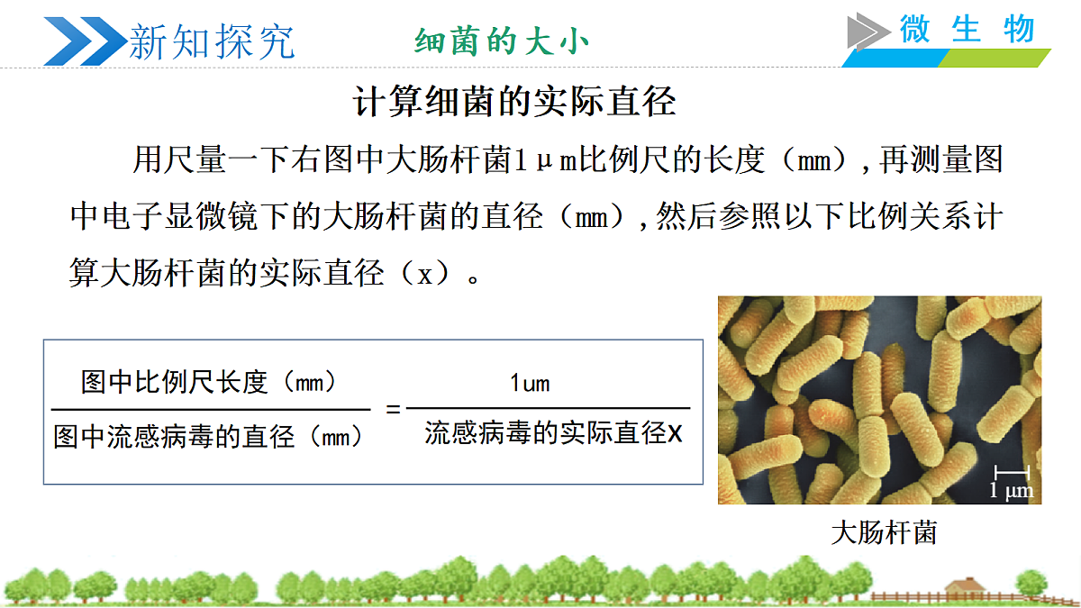 18252548第7页