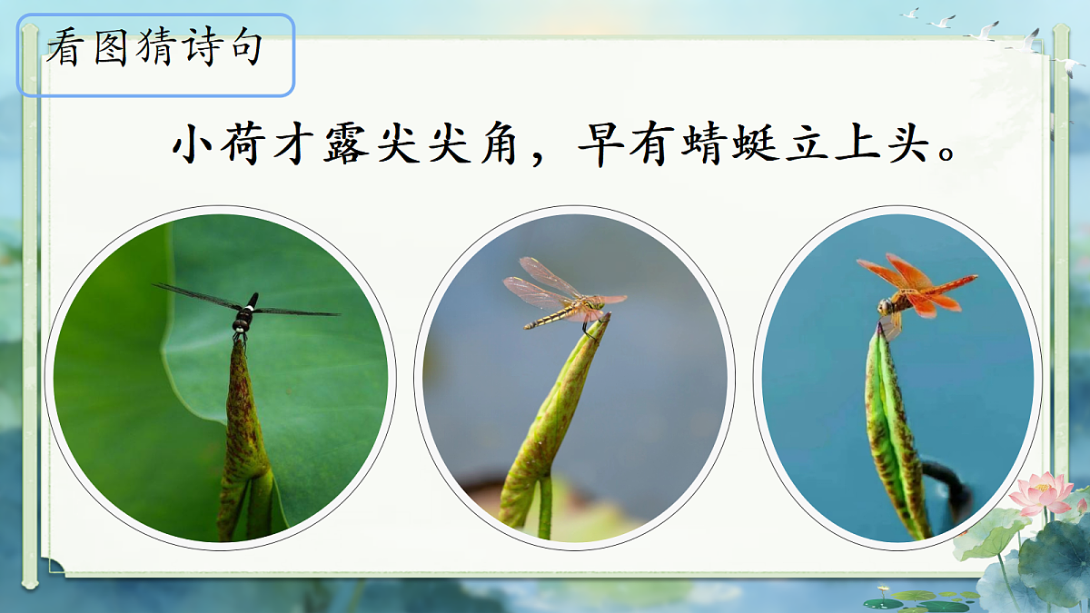 18252573第2页