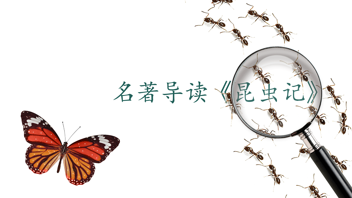 18252630第1页