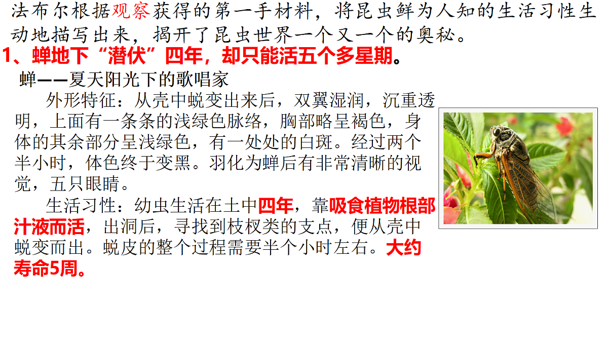 18252630第6页
