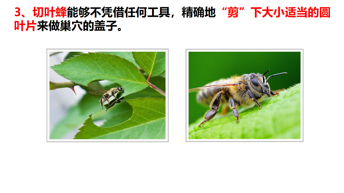 18252630第8页