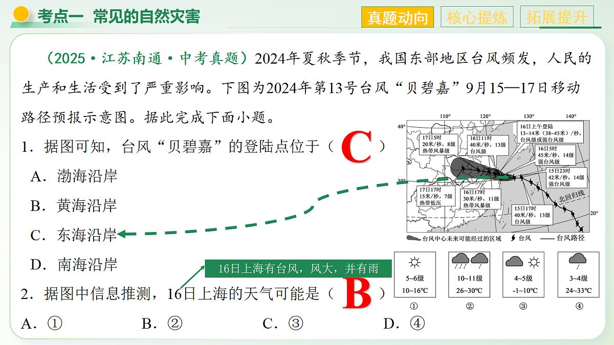 18252641第8页