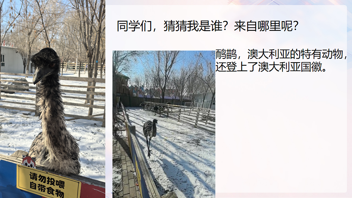 18253445第1页
