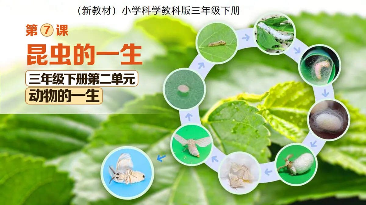 18253579第1页