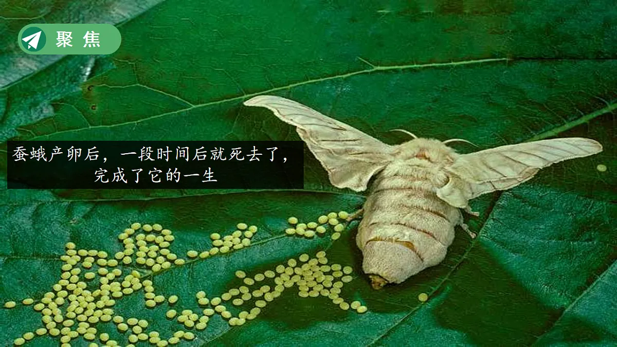 18253579第2页