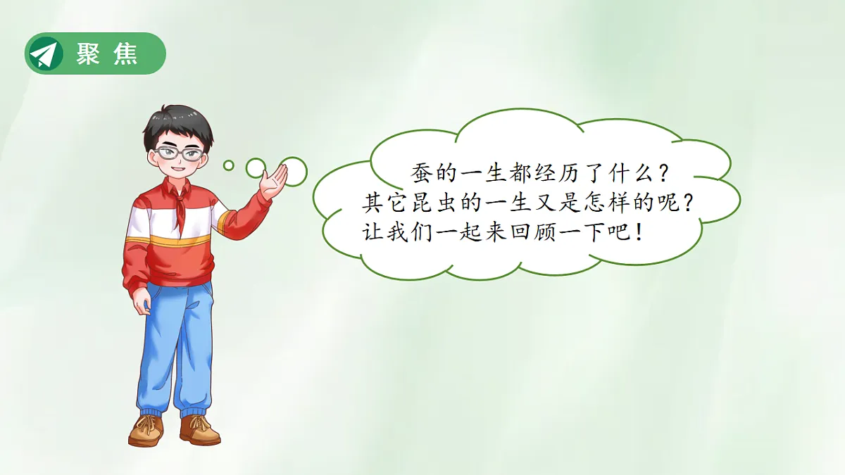 18253579第3页