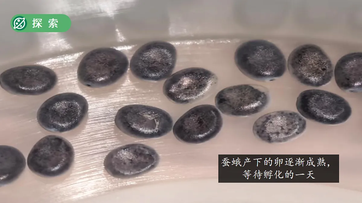 18253579第5页