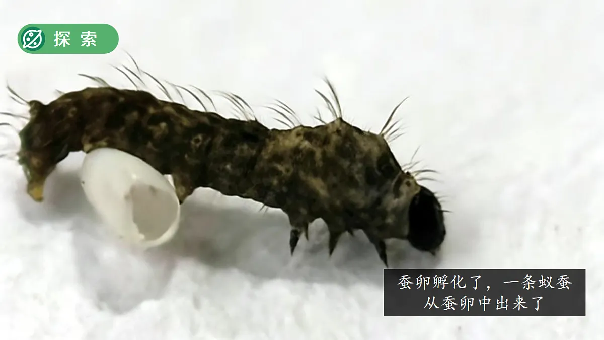 18253579第6页