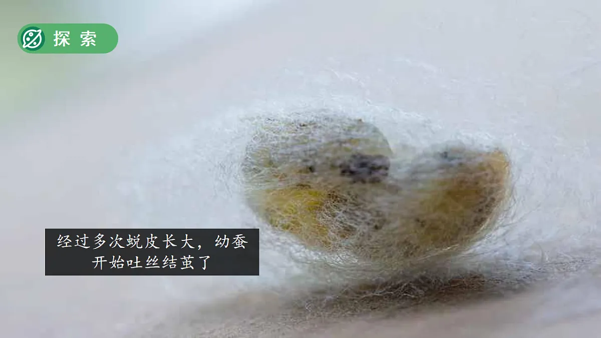 18253579第8页