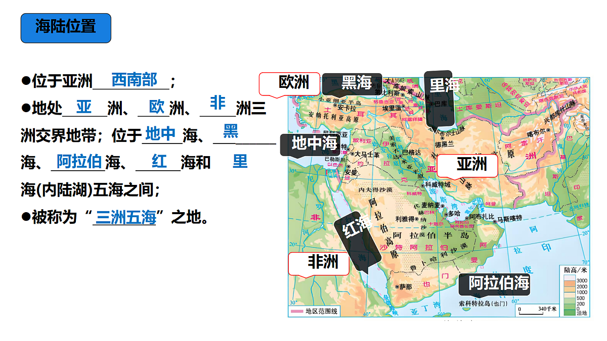 18253666第5页