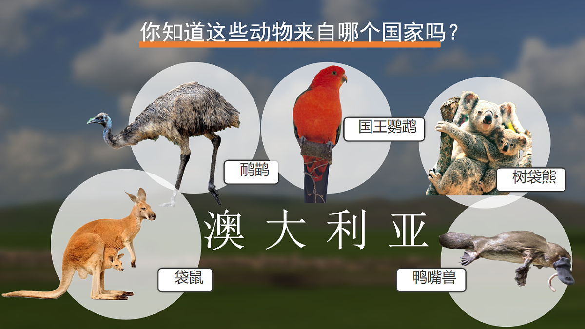 18253667第3页