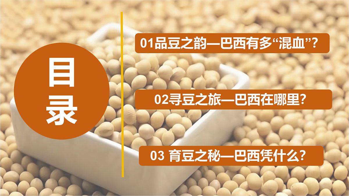 18253669第5页