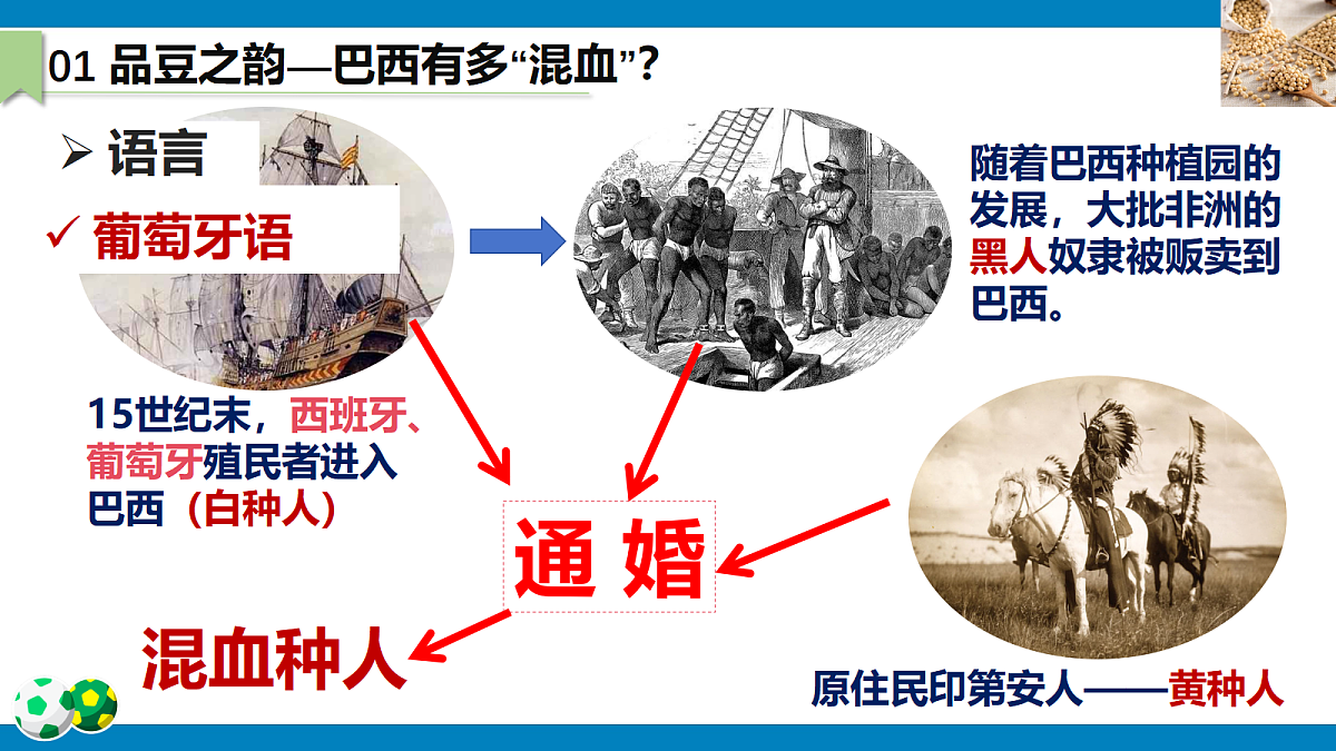 18253669第7页