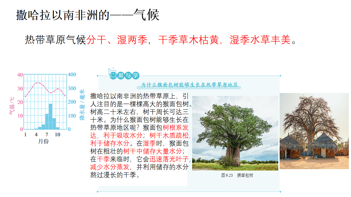 18253671第6页