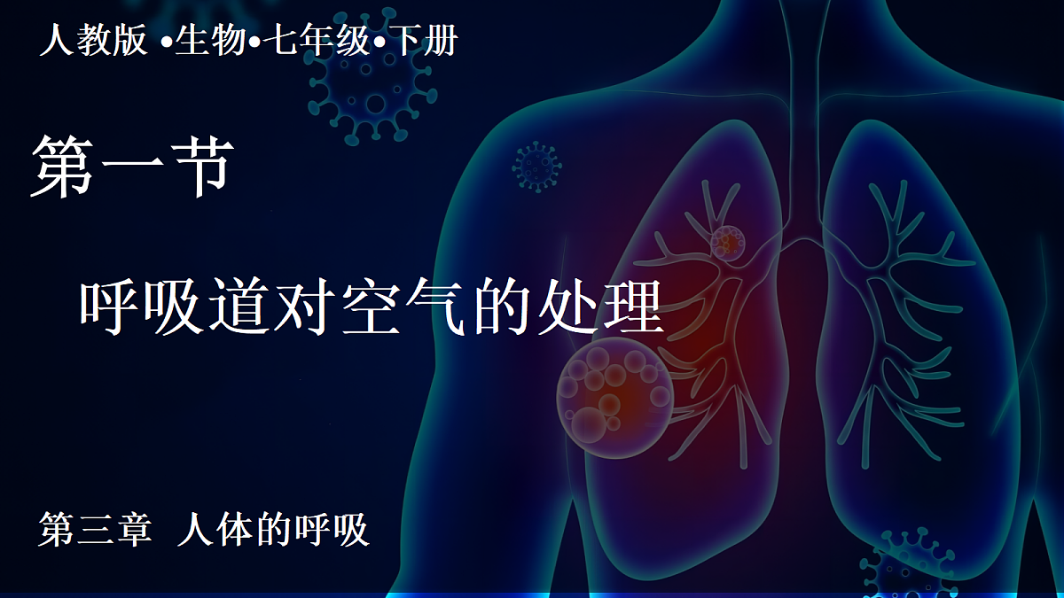18253672第1页