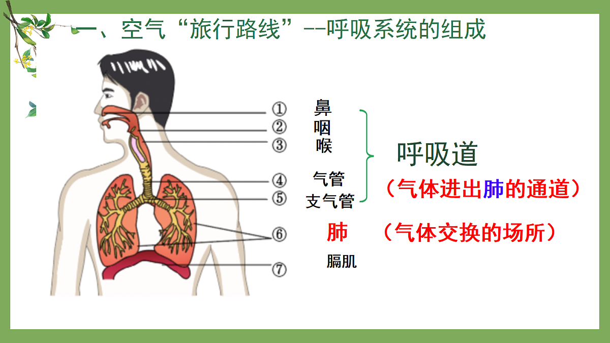 18253672第4页