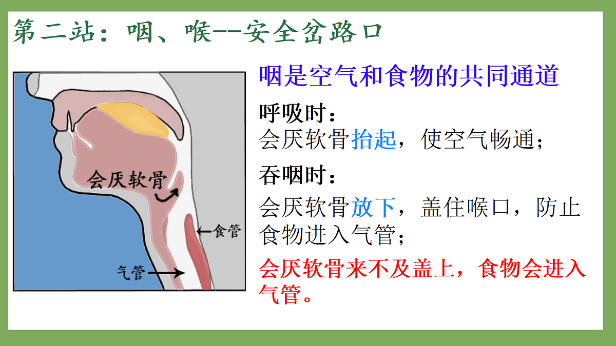 18253672第7页