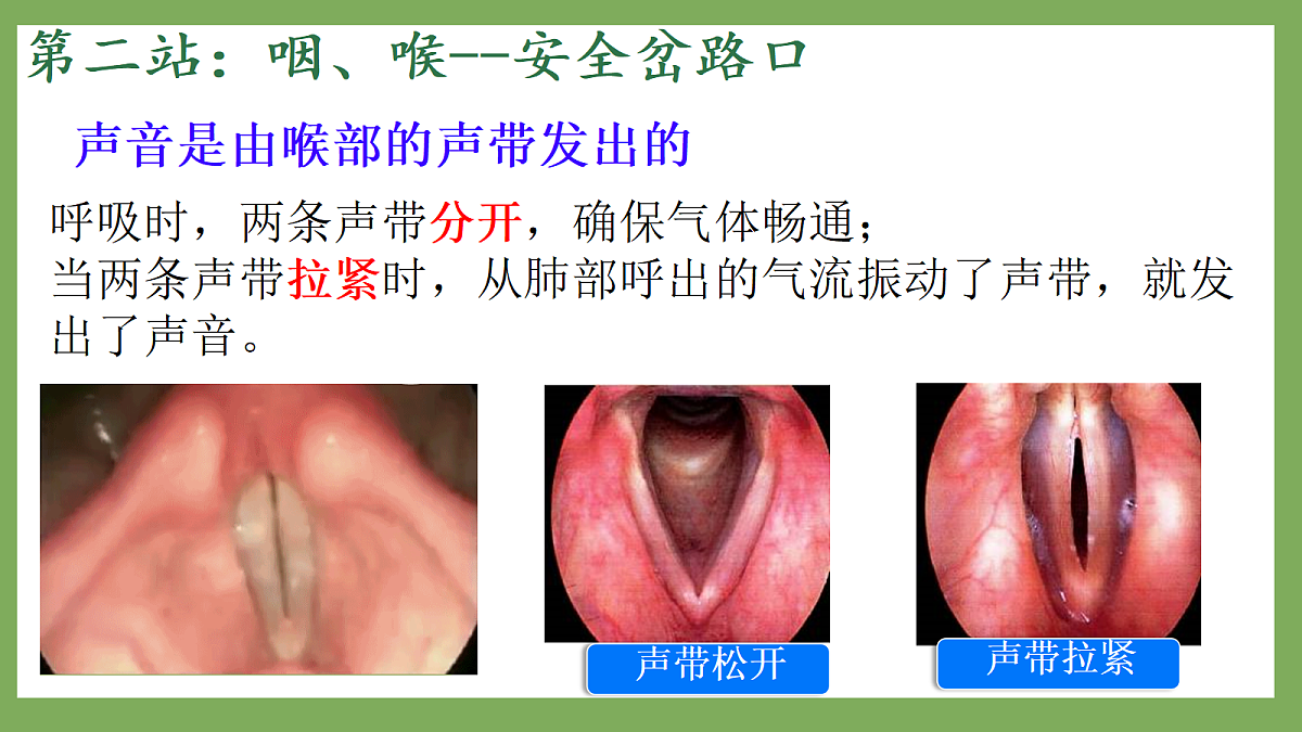 18253672第8页