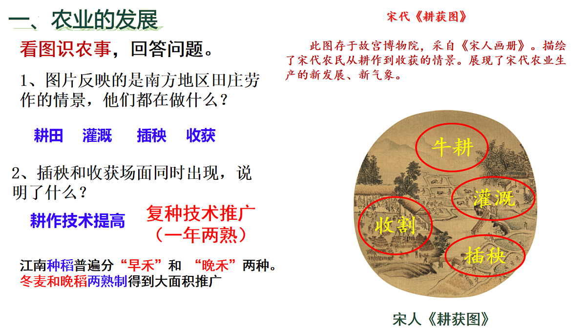 18253717第3页
