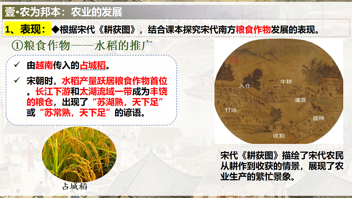 18253718第7页