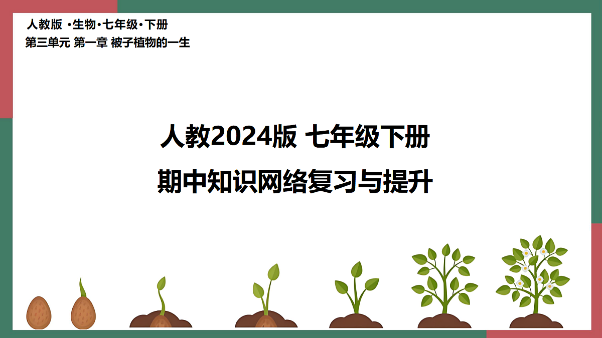 18253725第2页