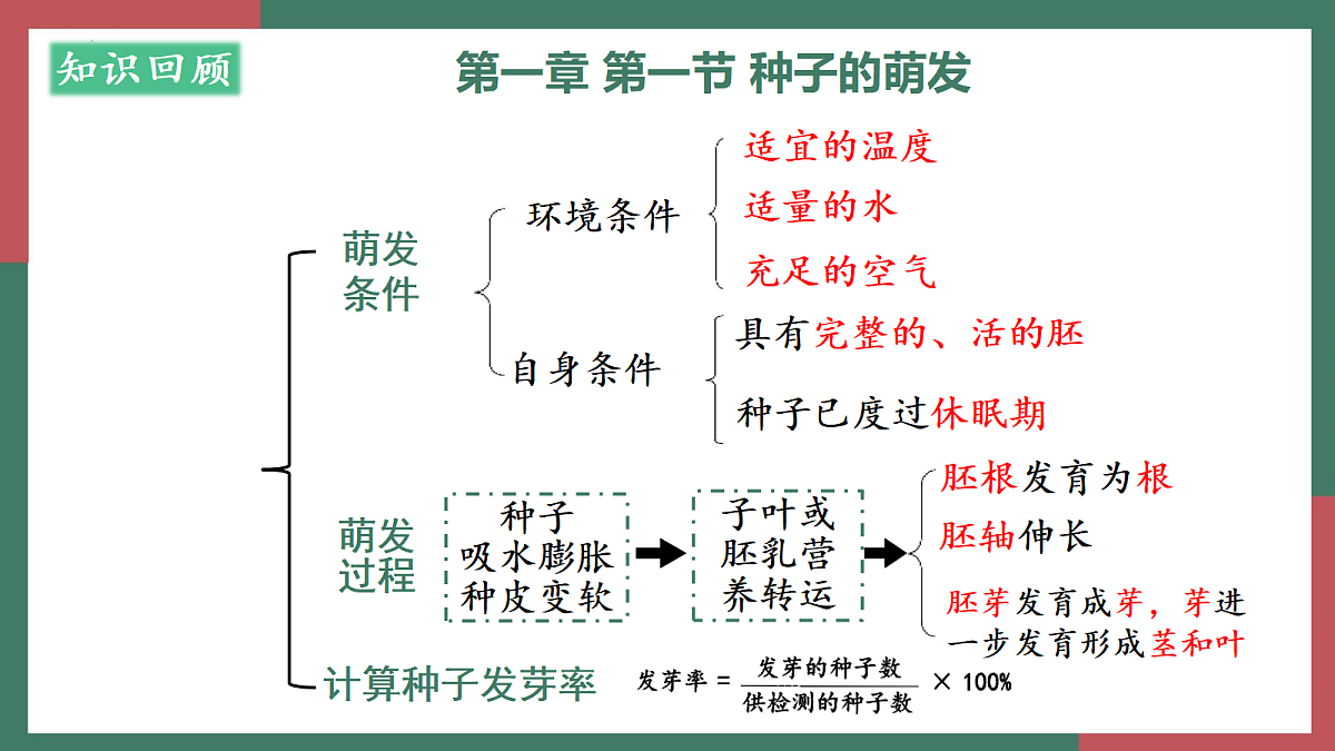 18253725第4页