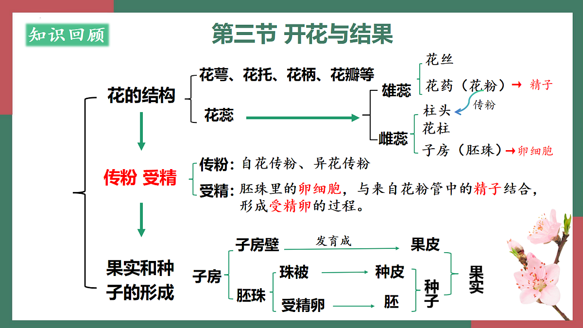18253725第6页