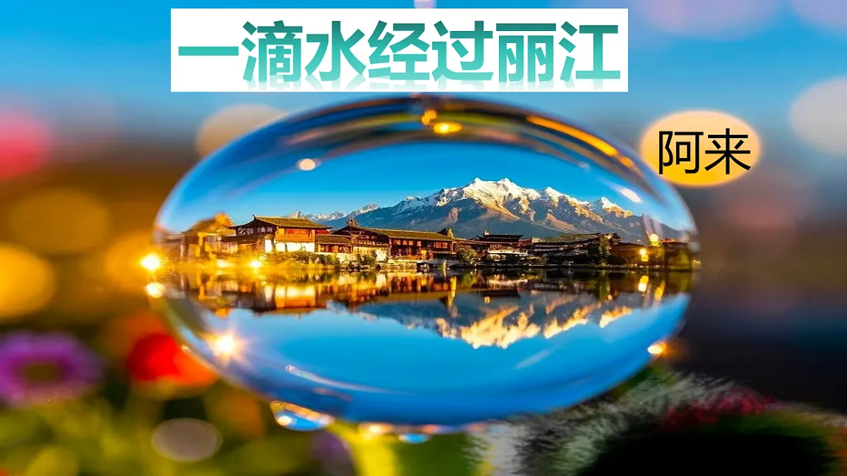 18253729第1页