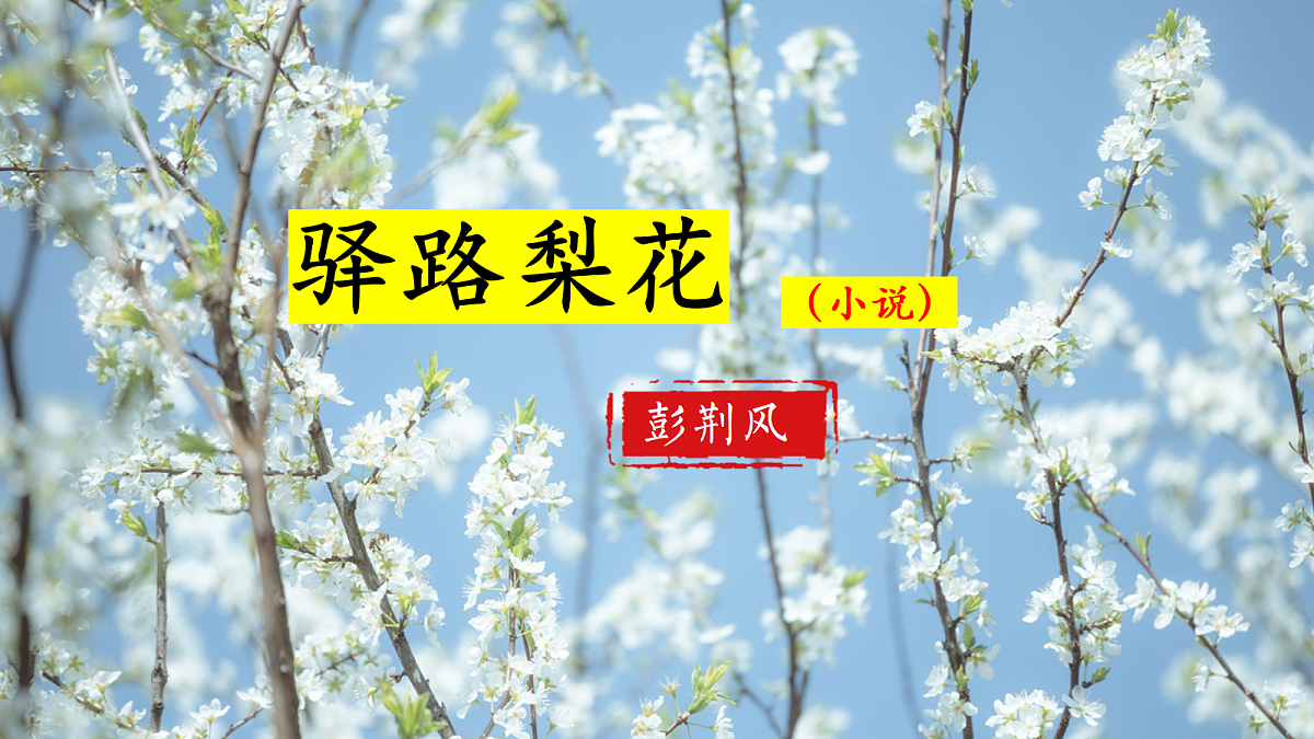 18253737第1页