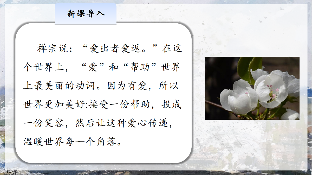 18253737第3页