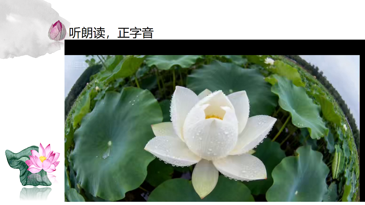18253739第5页
