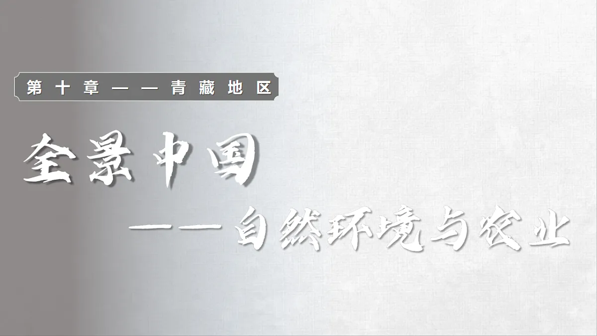 18253793第1页