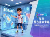 人教版小学美术三下11食物成分形象化 课件+数字人导入视频