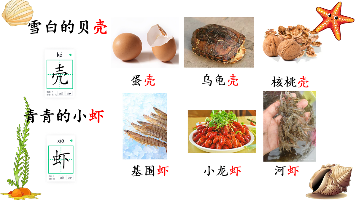 18255928第7页