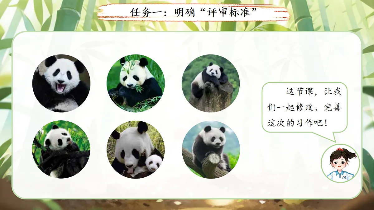 18256052第3页