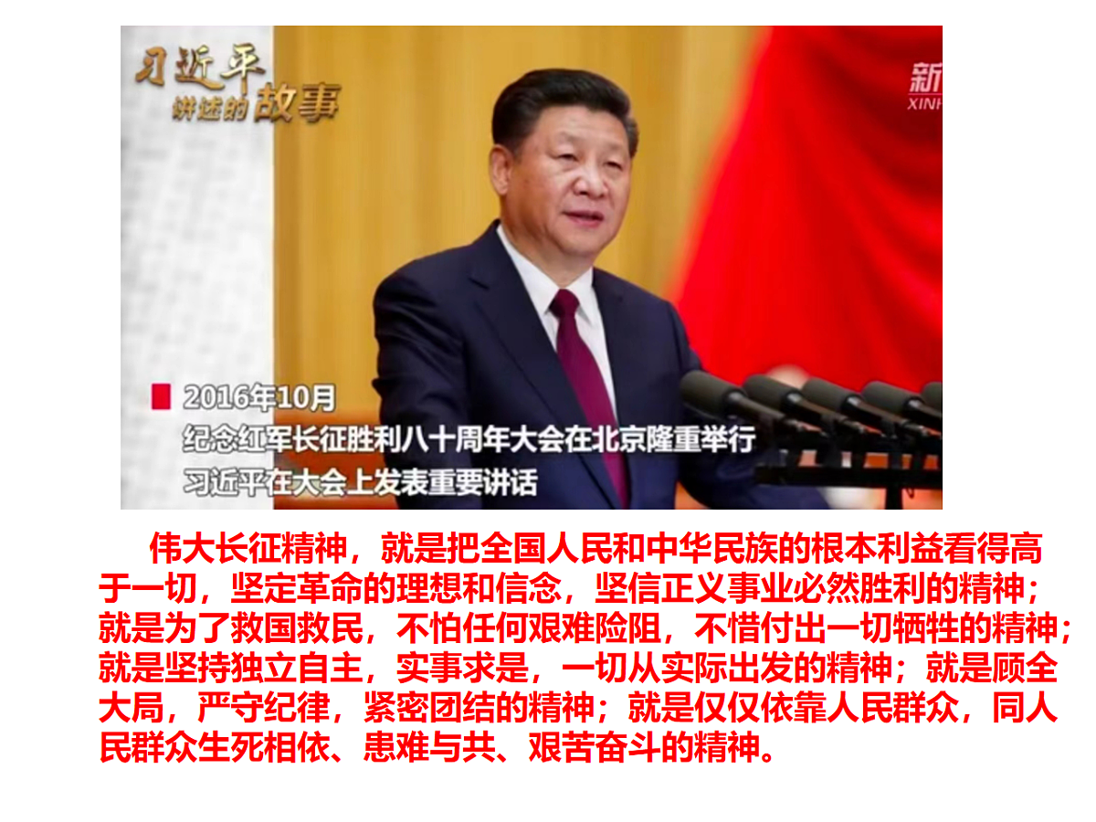 18256106第3页